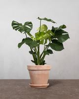 type=Terracotta krukke/color=Terracotta