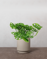 type=Simple krukke/color=Light Sand