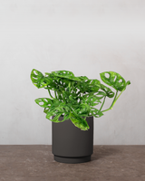 type=Simple krukke/color=Warm Black