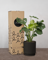 type=Simple krukke/color=Warm Black