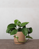 type=Simple krukke/color=Pale Terracotta