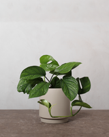 type=Simple krukke/color=Light Sand