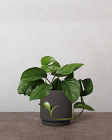 type=Simple krukke/color=Warm Black