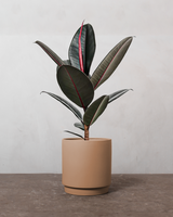 type=Simple krukke/color=Pale Terracotta