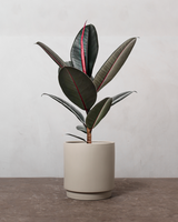 type=Simple krukke/color=Light Sand