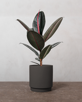 type=Simple krukke/color=Warm Black