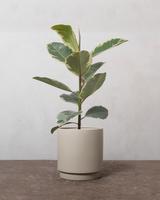 type=Simple krukke/color=Light Sand