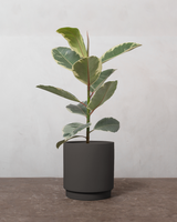 type=Simple krukke/color=Warm Black