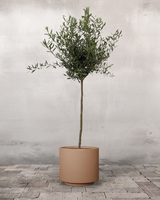 type=Simple krukke/color=Pale Terracotta