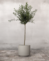 type=Simple krukke/color=Light Sand