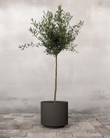 type=Simple krukke/color=Warm Black