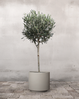 type=Simple krukke/color=Light Sand