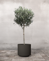 type=Simple krukke/color=Warm Black