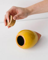 Olla Selvvander - Mustard