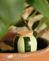 Olla Selvvander - Green/Green Stripes