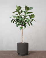 type=Simple krukke/color=Warm Black