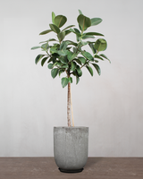 type=Glaseret krukke/color=Grå