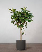 type=Simple krukke/color=Warm Black