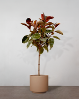 type=Simple krukke/color=Pale Terracotta