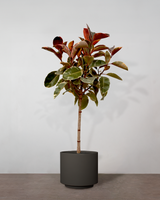 type=Simple krukke/color=Warm Black