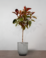 type=Glaseret krukke/color=Grå