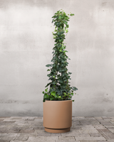 type=Simple krukke/color=Pale Terracotta