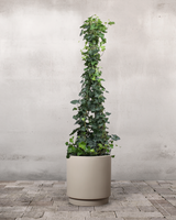 type=Simple krukke/color=Light Sand