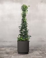 type=Simple krukke/color=Warm Black