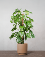 type=Simple krukke/color=Pale Terracotta