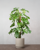 type=Simple krukke/color=Light Sand