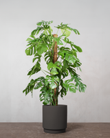 type=Simple krukke/color=Warm Black