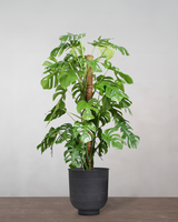 type=Vig krukke/color=Sort