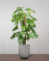 type=Glaseret krukke/color=Grå