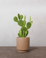 type=Simple krukke/color=Pale Terracotta