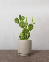 type=Simple krukke/color=Light Sand