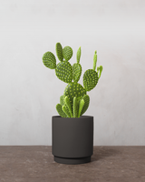 type=Simple krukke/color=Warm Black