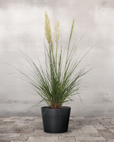 type=Greenify Udendørskrukke/color=Sort