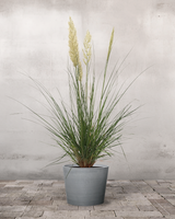 type=Greenify Udendørskrukke/color=Grå