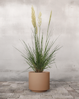 type=Simple krukke/color=Pale Terracotta