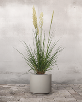 type=Simple krukke/color=Light Sand