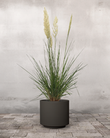 type=Simple krukke/color=Warm Black