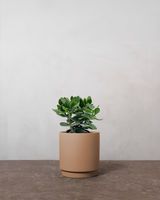 type=Simple krukke/color=Pale Terracotta