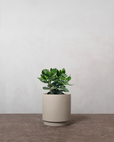 type=Simple krukke/color=Light Sand