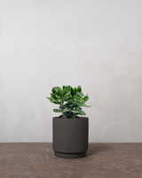 type=Simple krukke/color=Warm Black