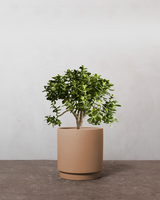 type=Simple krukke/color=Pale Terracotta