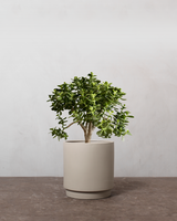 type=Simple krukke/color=Light Sand