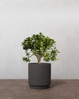 type=Simple krukke/color=Warm Black