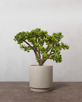 type=Simple krukke/color=Light Sand