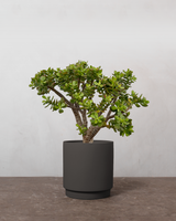 type=Simple krukke/color=Warm Black