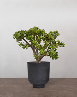 type=Vig krukke/color=Sort